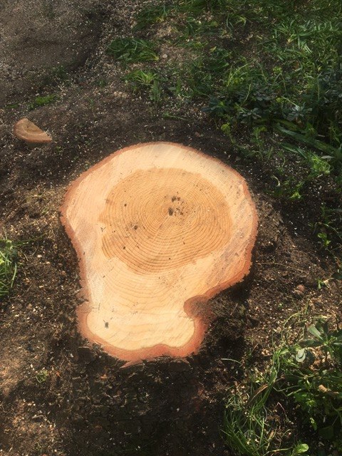 Elephant Timber Supplies