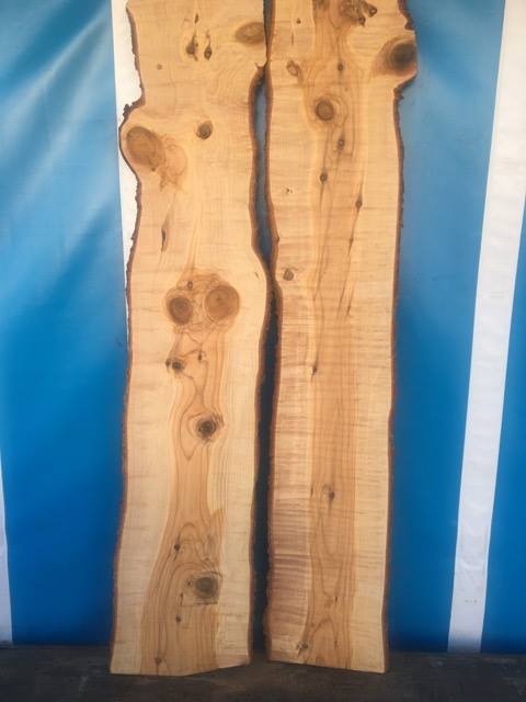 Elephant Timber Supplies