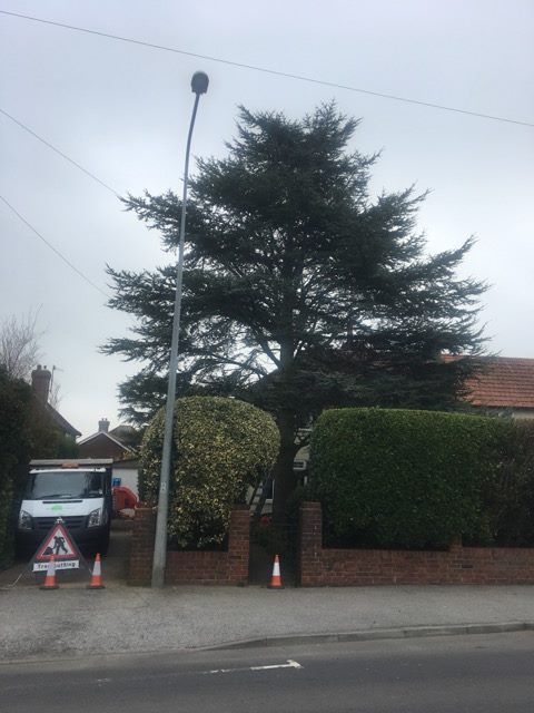 Elephant Timber Supplies