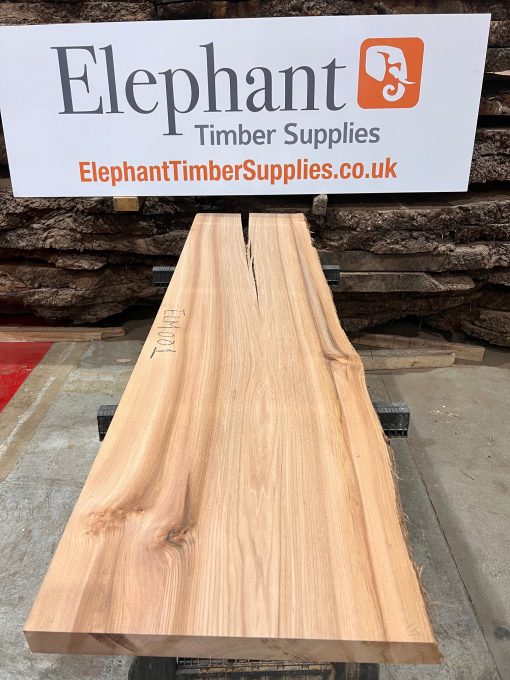 Elm #001 kiln dried timber piece