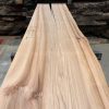 Elm #001 kiln dried timber piece