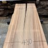 Elm #001 kiln dried timber piece