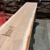 Elm #002 kiln dried timber piece
