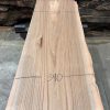 Elm #002 kiln dried timber piece