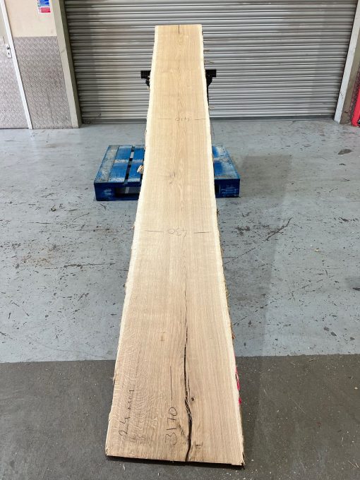 Oak #003