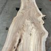 Elm #039 kiln dried timber