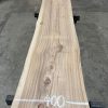 Elm #039 kiln dried timber