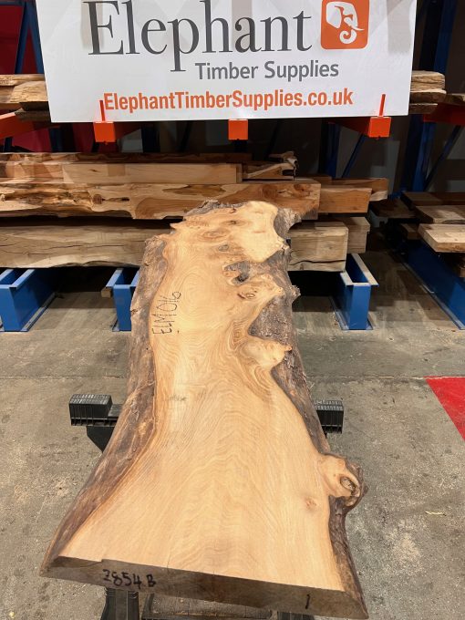 Elm plank kiln dried #016