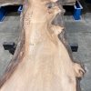 Elm plank kiln dried #016
