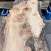 Elm plank kiln dried #016