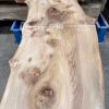 Elm plank kiln dried #016