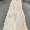Elm #003 kiln dried timber plank