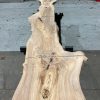 Elm #013 kiln dried timber