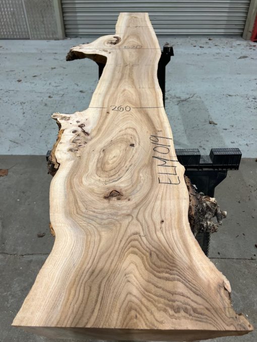 Elm #019 kiln dried plank. Elephant Timber Supplies East Sussex