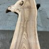 Elm #019 kiln dried plank. Elephant Timber Supplies East Sussex