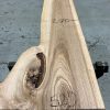 Elm #019 kiln dried plank. Elephant Timber Supplies East Sussex