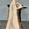 Elm #019 kiln dried plank. Elephant Timber Supplies East Sussex