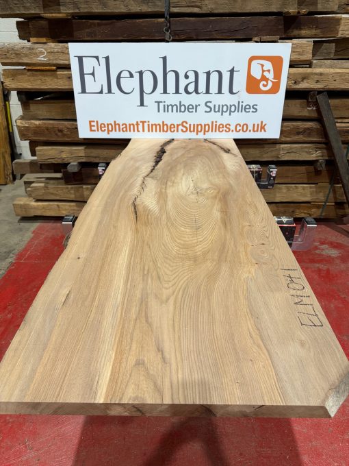 Elm #041