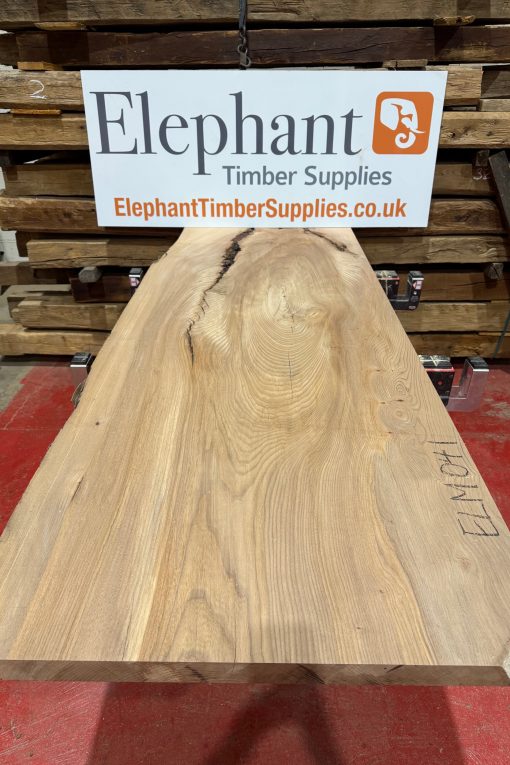 Elm #041