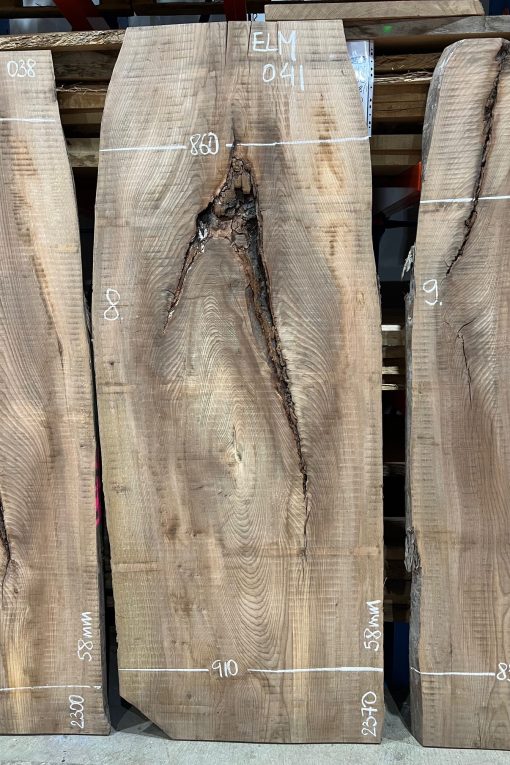 Elm #041 rough sawn kiln dried timber for sale