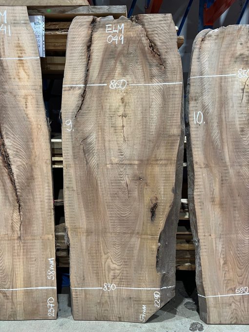 Elm #049 rough sawn kiln dried timber for sale