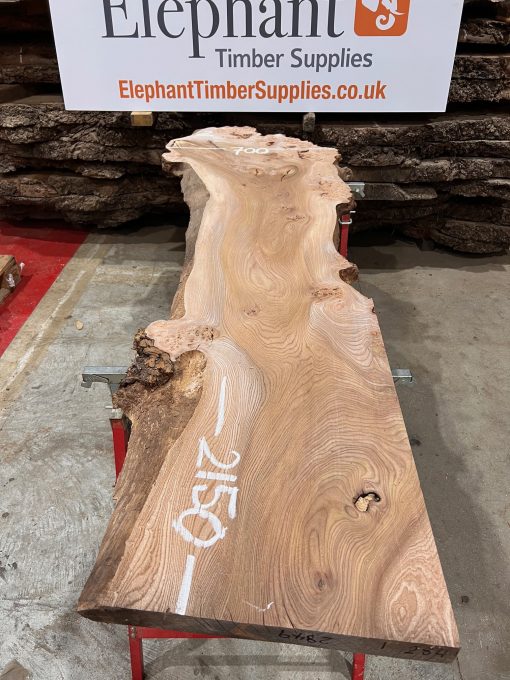 Elm #004 piece of kiln dried wood for sale