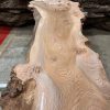 Elm #004 piece of kiln dried wood for sale