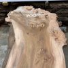 Elm #004 piece of kiln dried wood for sale