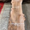 Elm #004 piece of kiln dried wood for sale