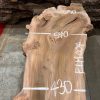 Elm #004 piece of kiln dried wood for sale