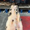 Yew #006 plank kiln dried
