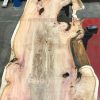 Yew #006 plank kiln dried