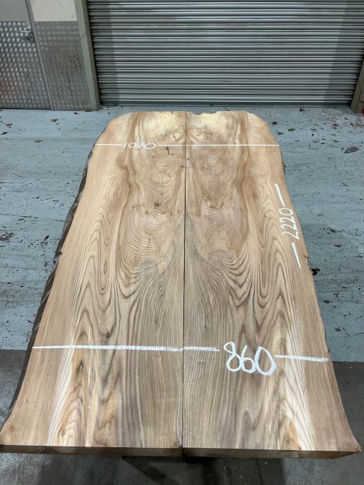 Elm Book Matched Pair #007