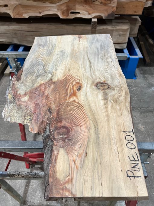 Pine #001
