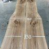 Elm Book Matched Pair #005