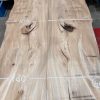 Elm Book Matched Pair #014
