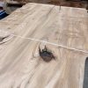 Elm Book Matched Pair #014