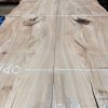 Elm Book Matched Pair #014