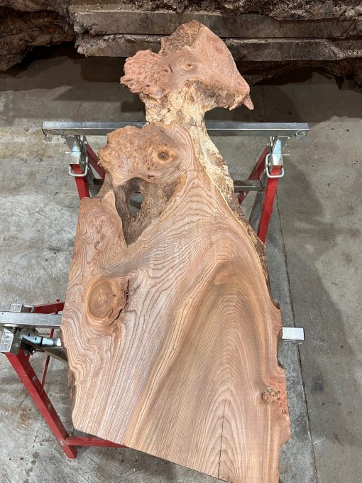 Elm #006 kiln dried piece of timber for sale.