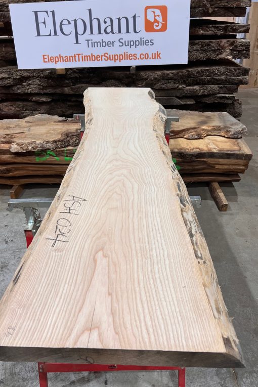 Ash #024 kiln dried piece of timber planed on both sides flat