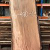 Beech 004 buy directly from Elephant Timber Supplies