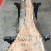 Spalted beech small piece of timber #008