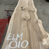 Elm #010