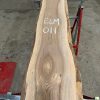 Elm #011