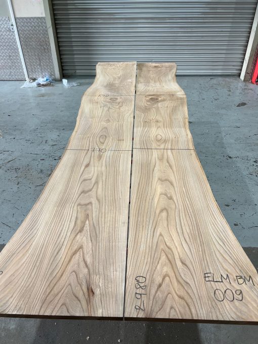 Elm Book Matched Pair #009