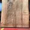Horse Chestnut #0034 Large Book Matched Pair