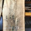 Horse Chestnut #0034 Large Book Matched Pair