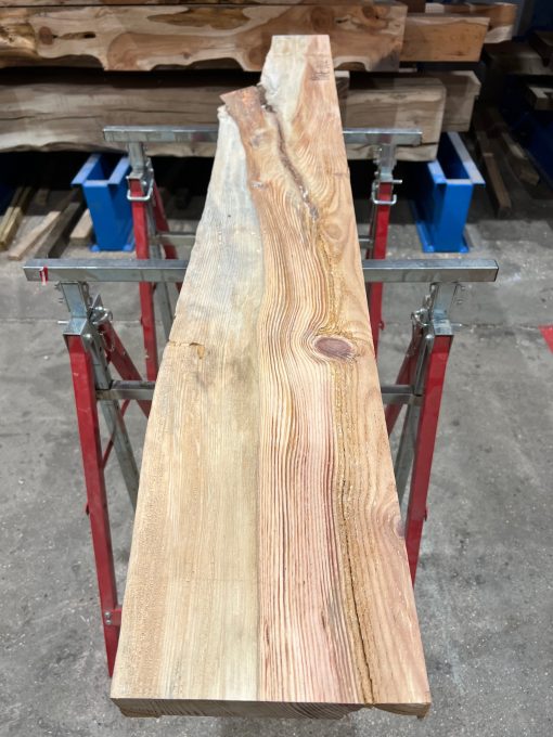 Pine #002