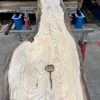 Pine #003