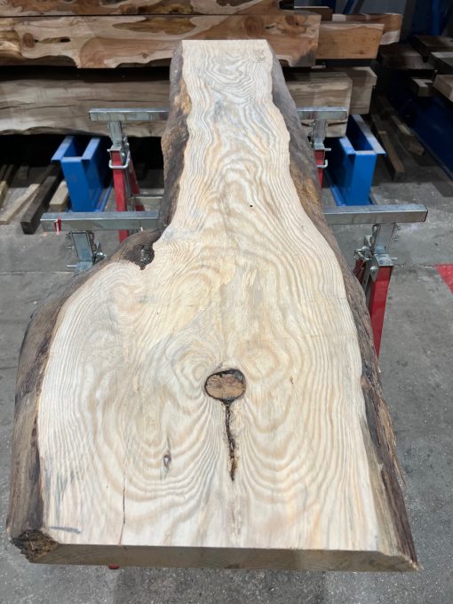 Pine #003